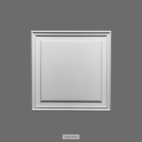 Дверное обрамление D503 Orac Decor Панель