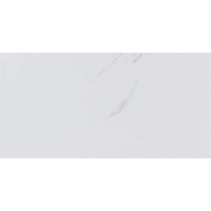 Стеновая панель AquaWall AW4231M