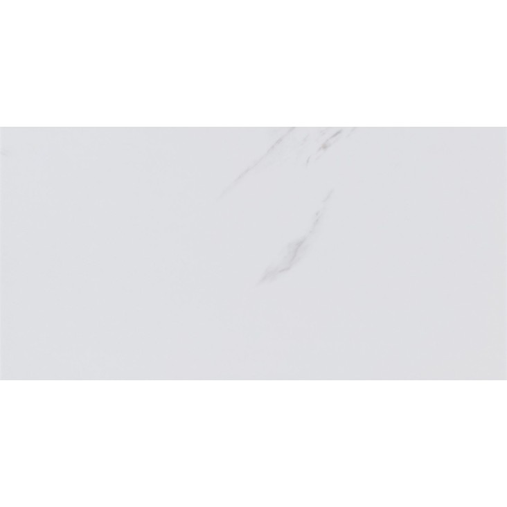 Стеновая панель AquaWall AW4231M